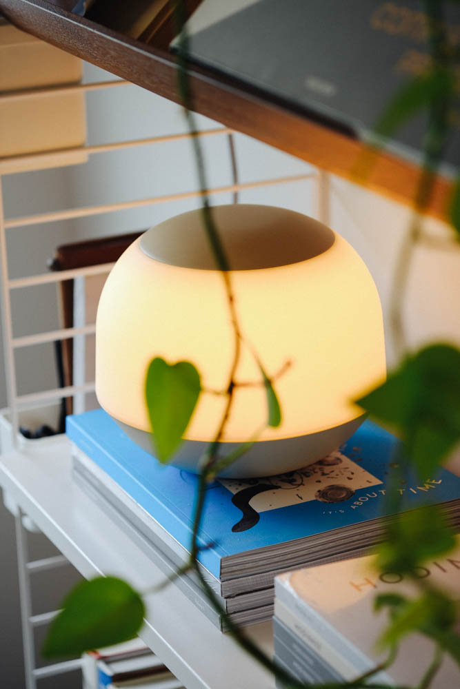 Lamp resting on a pile of books with a plant visible in the foreground