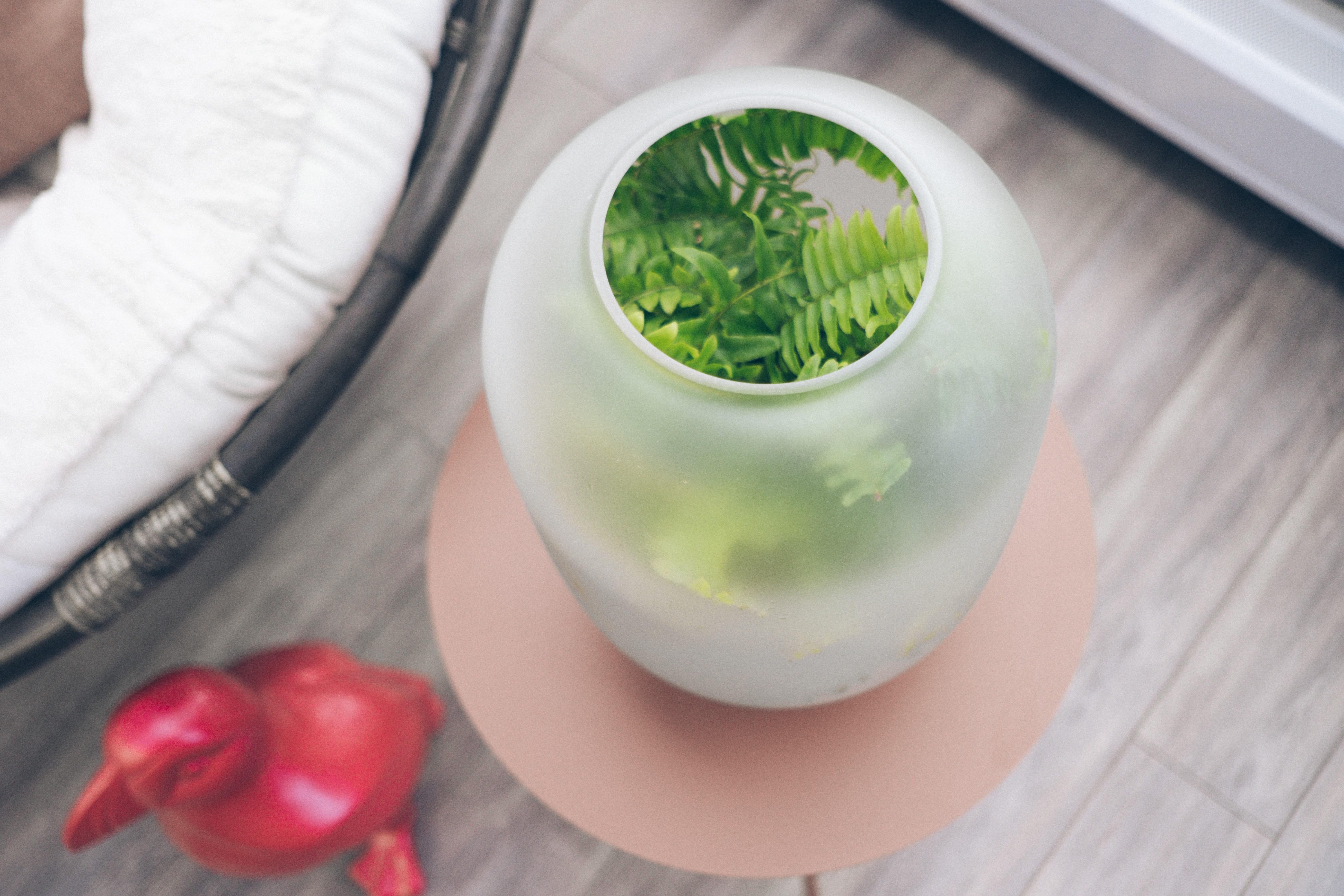 Cover of the nebl on top of the vase with a fern inside.