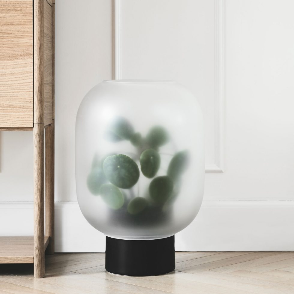 Big leaves inside of the foggy nebl vase.