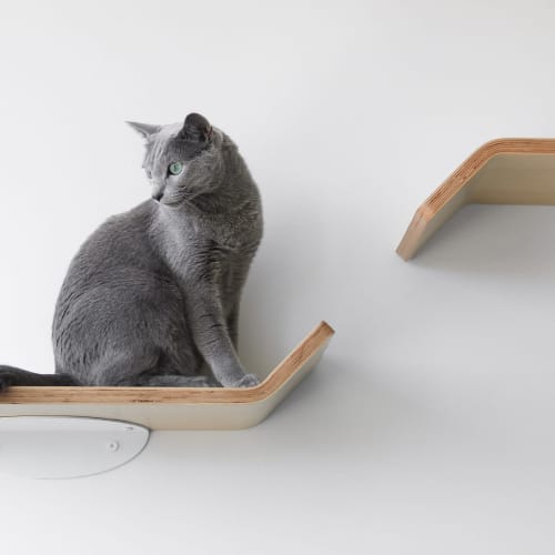 Figo Cat Shelves