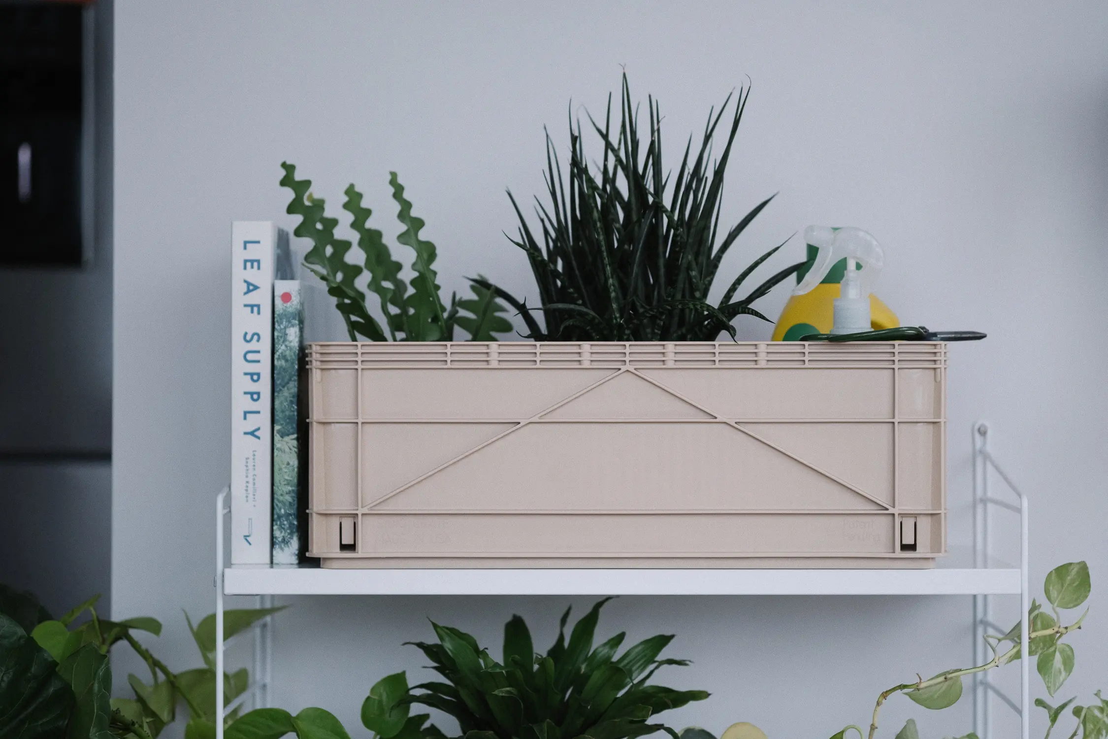 straight on angle of sidio crate on string shelving