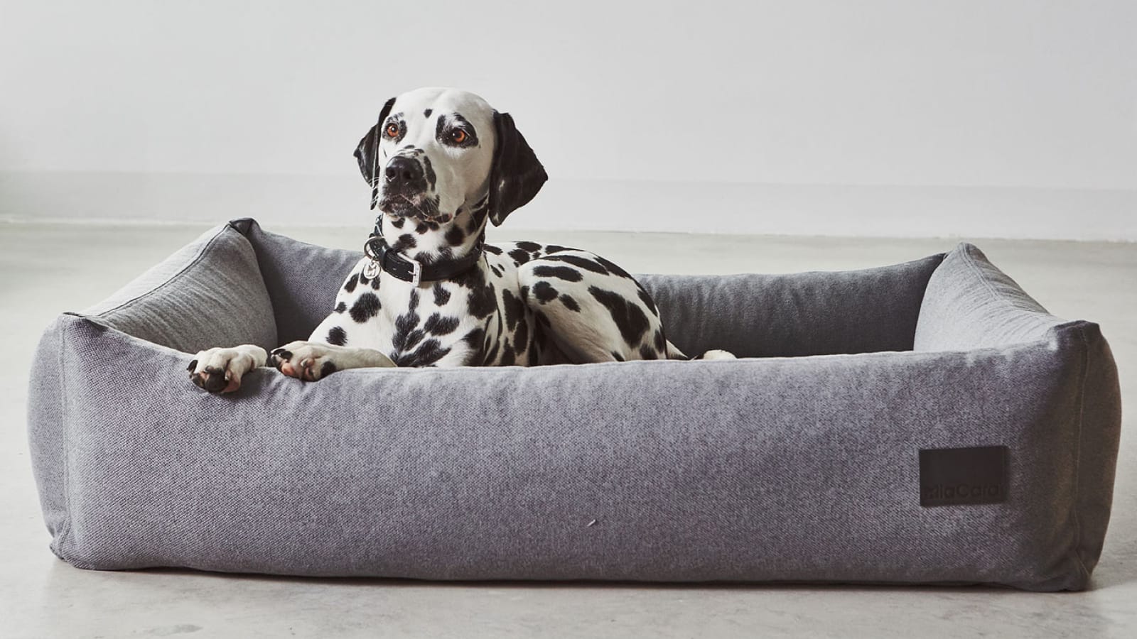 Divo Box Dog Bed — A Simple Sleeping Solution