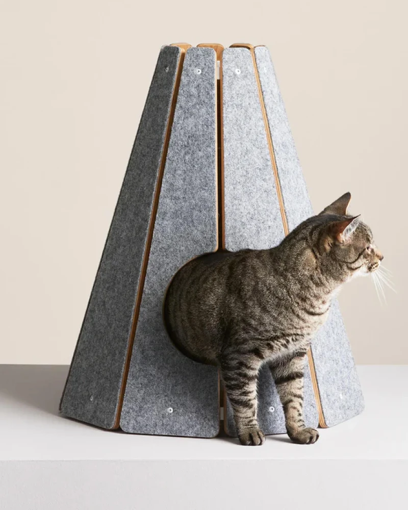 14 Modern Cat Tents That Will Look Good in Your Home (2024)